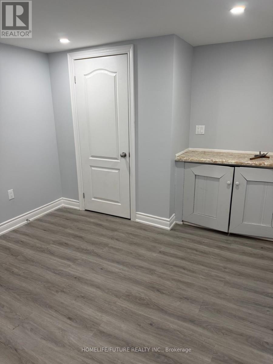 Bsmt - 19801 Leslie Street, East Gwillimbury, Ontario  L7A 0W1 - Photo 11 - N12788700