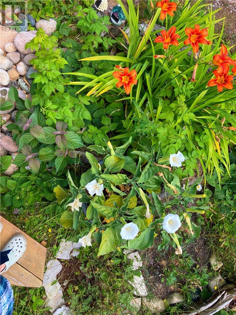 659 Pebble Road, Manitoulin Island, Ontario  P0P 1Y0 - Photo 20 - 2126458