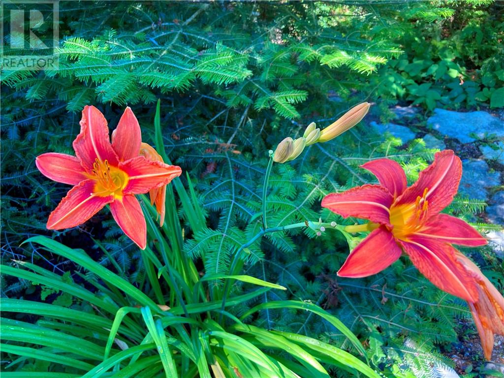 659 Pebble Road, Manitoulin Island, Ontario  P0P 1Y0 - Photo 6 - 2126458