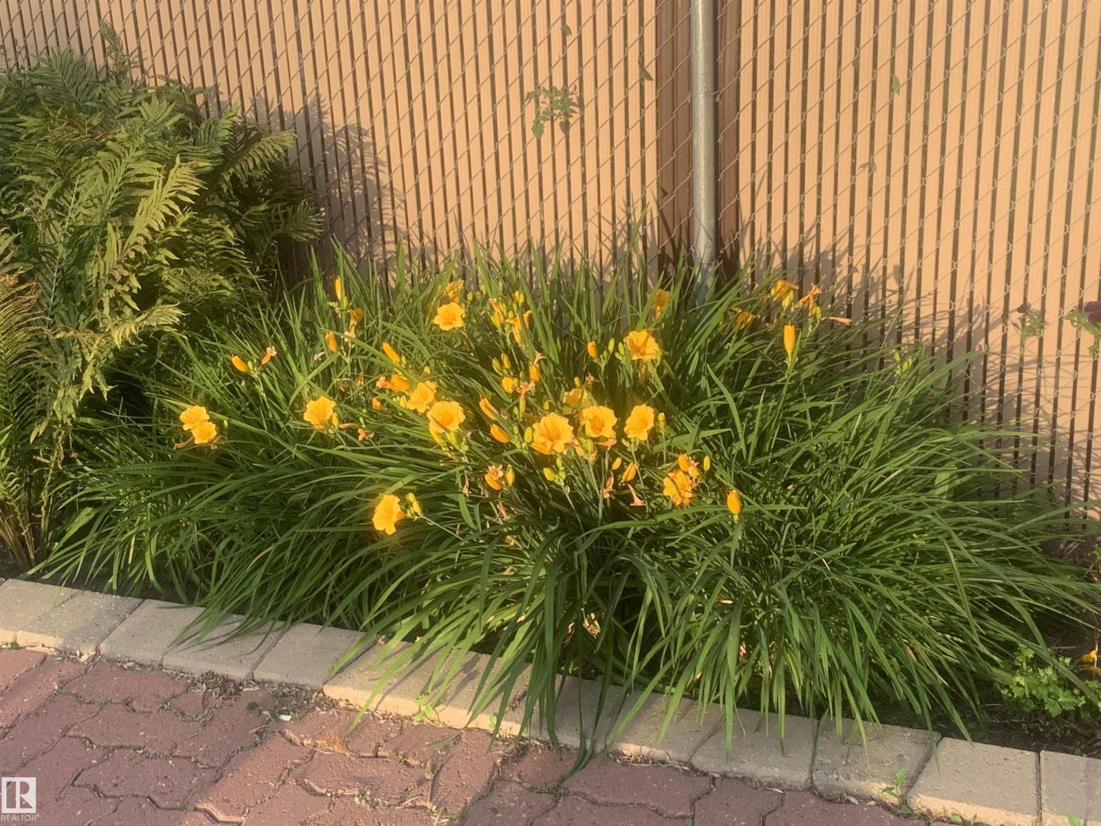 65 Mission Av, St. Albert, Alberta  T8N 1H9 - Photo 44 - E4473711