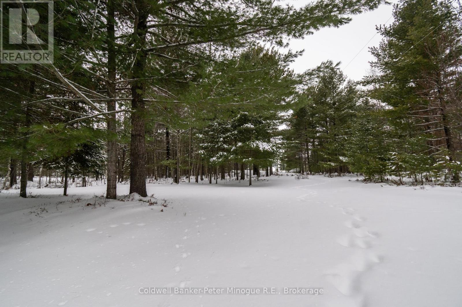 567 Sunset Cove Road, Callander, Ontario  P0H 1H0 - Photo 44 - X12593256