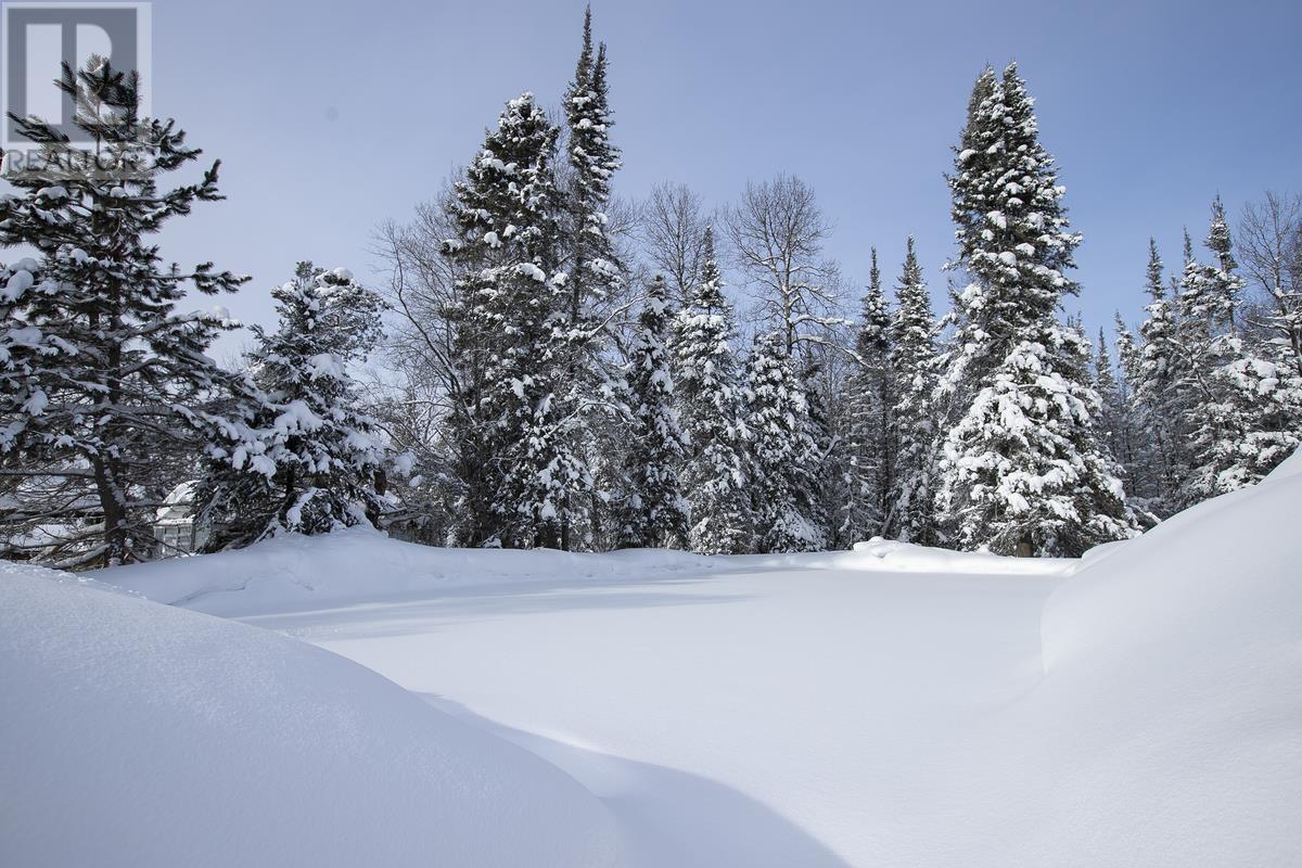 80 Trout Lake Rd, Heyden, Ontario  P6A 0E4 - Photo 7 - SM260174