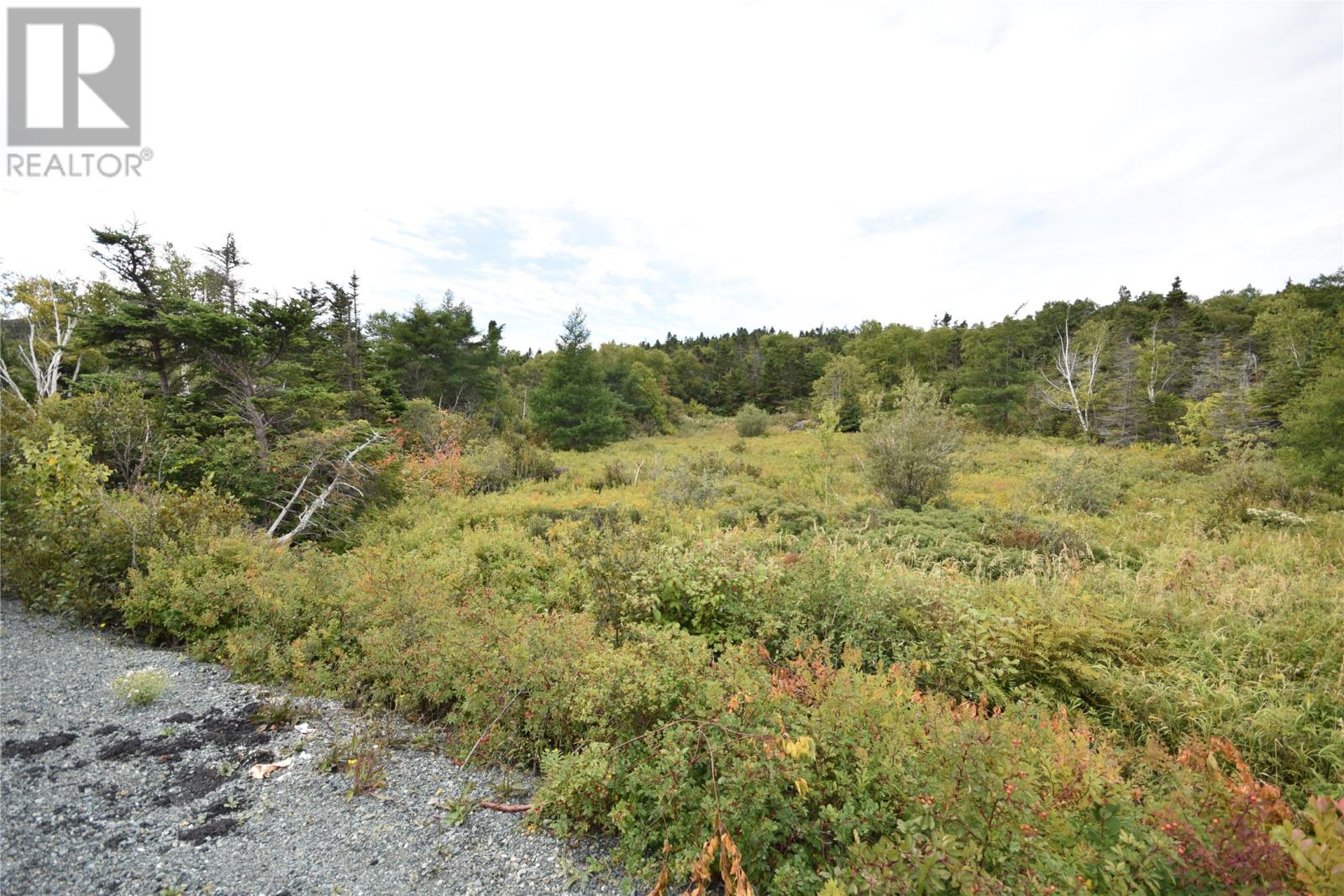 308-310 Anchorage Road, Conception Bay South, Newfoundland & Labrador  A1W 4W3 - Photo 2 - 1290573