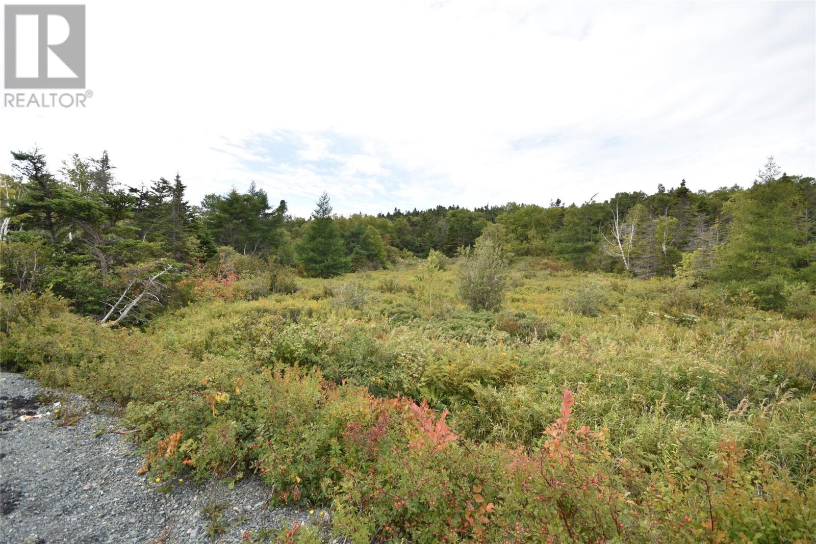 308-310 Anchorage Road, Conception Bay South, Newfoundland & Labrador  A1W 4W3 - Photo 3 - 1290573