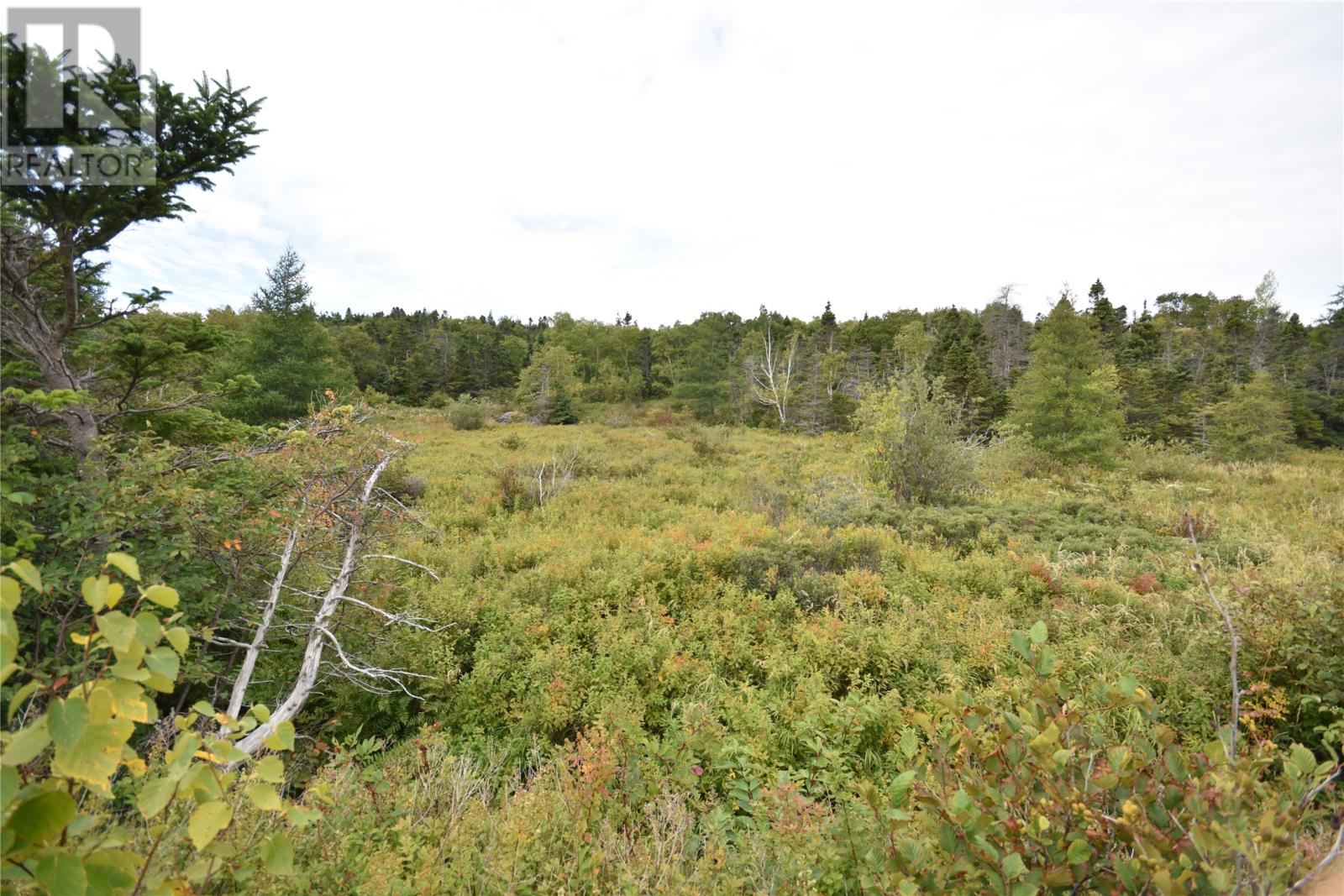 308-310 Anchorage Road, Conception Bay South, Newfoundland & Labrador  A1W 4W3 - Photo 1 - 1290573