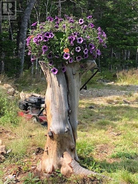 60 Maple Place, Brigus Junction, Newfoundland & Labrador  A0B 1G0 - Photo 37 - 1294573