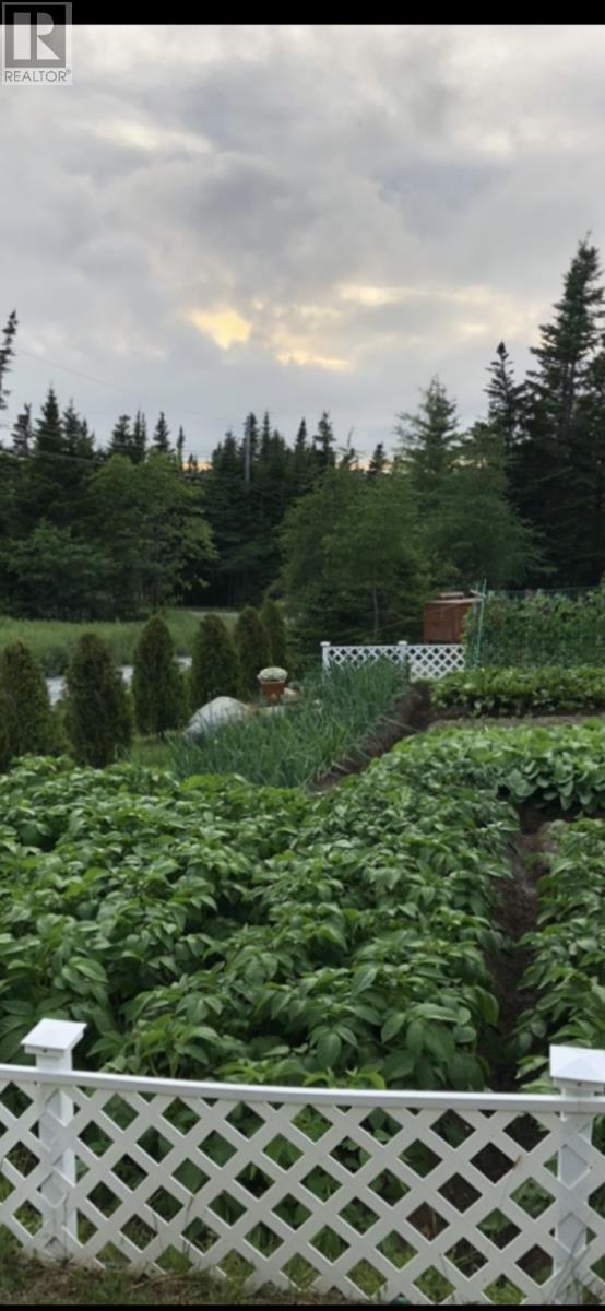 60 Maple Place, Brigus Junction, Newfoundland & Labrador  A0B 1G0 - Photo 38 - 1294573