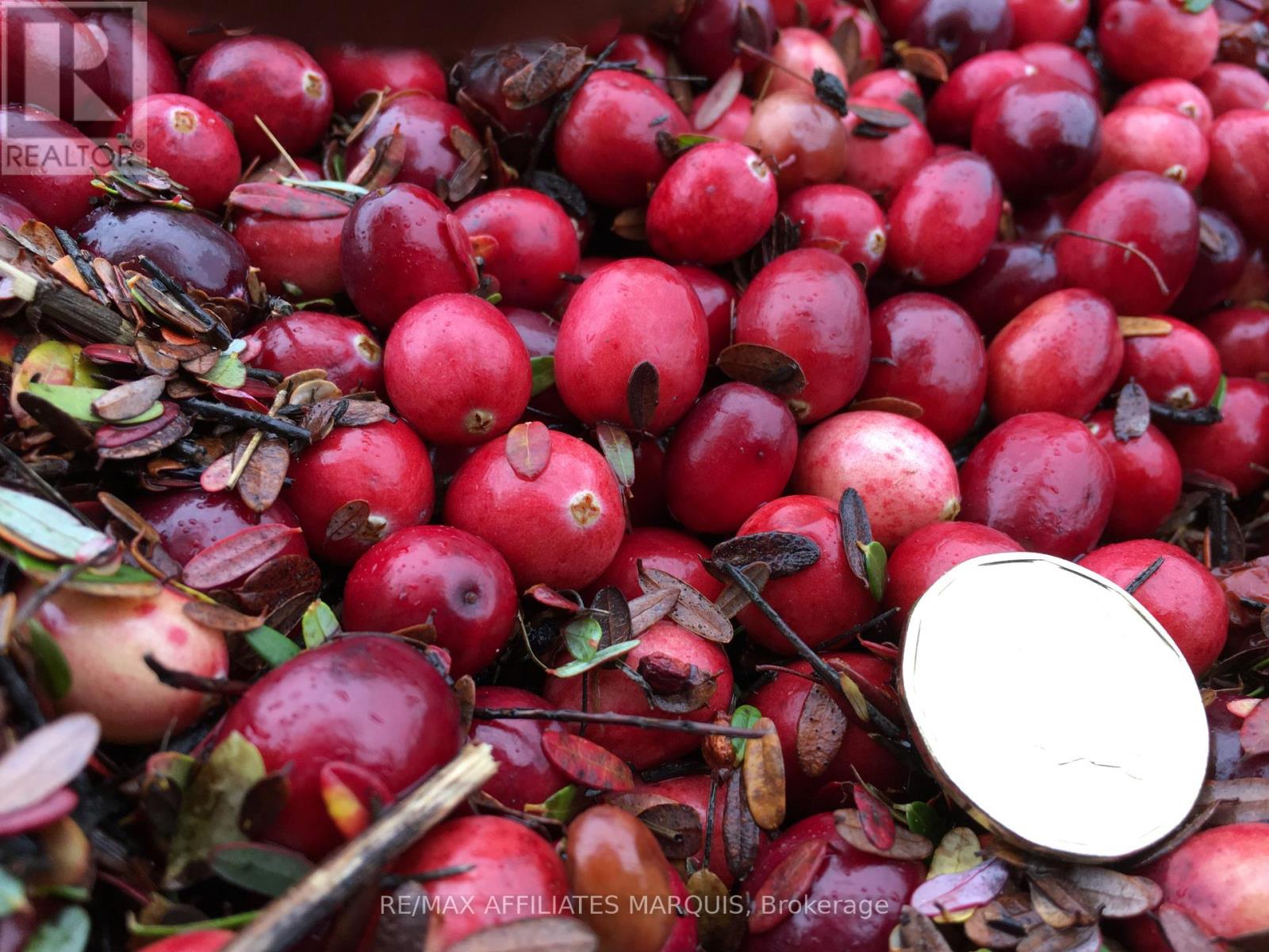 0 Stagecoach Road, Ottawa, Ontario  K0A 2W0 - Photo 2 - X12791120