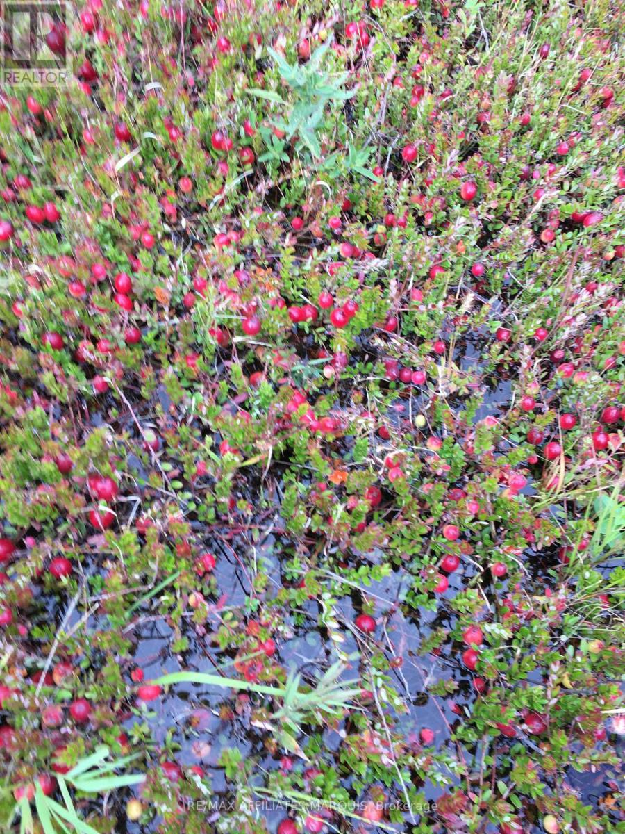 0 Stagecoach Road, Ottawa, Ontario  K0A 2W0 - Photo 3 - X12791120