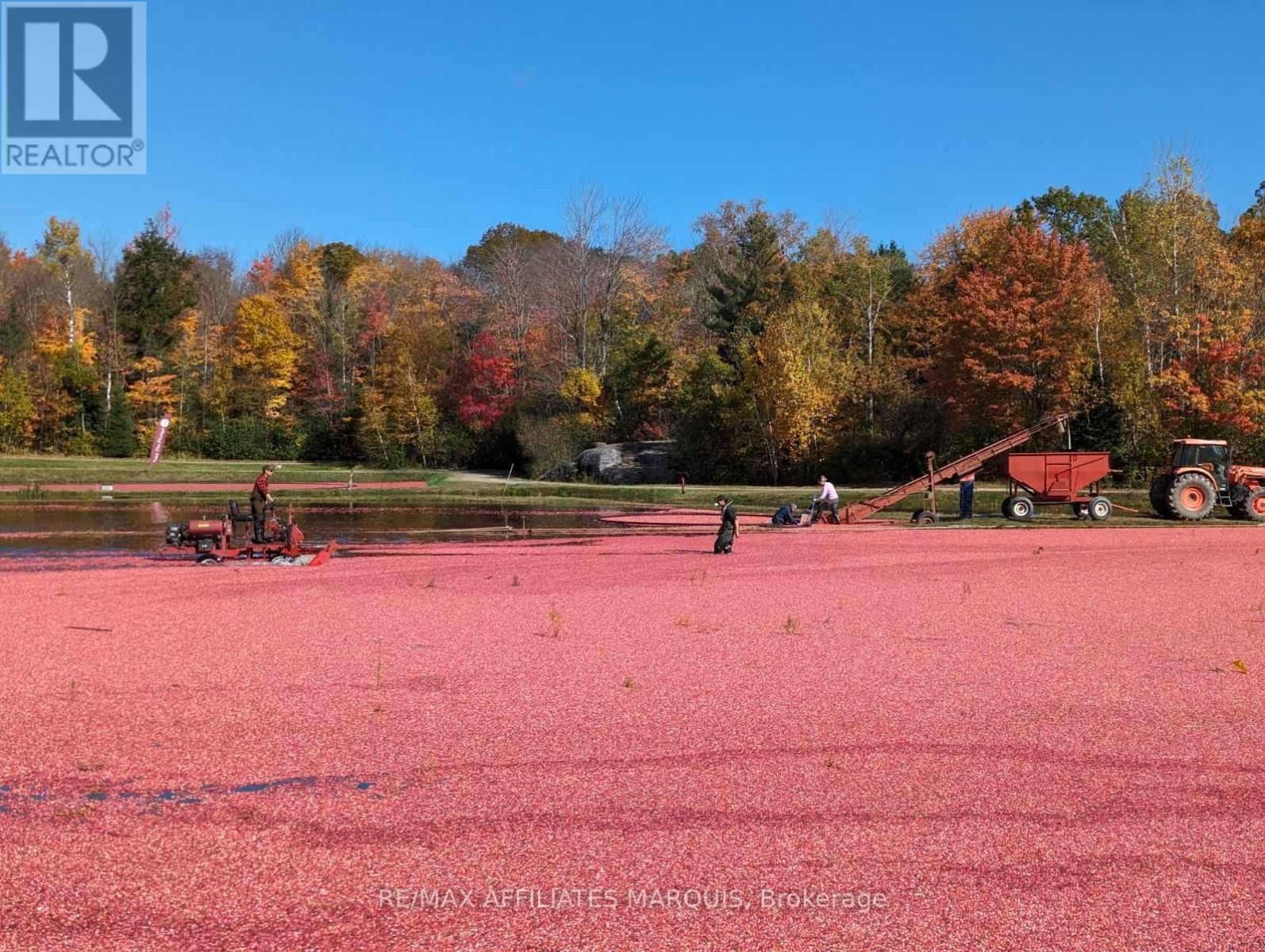 0 Stagecoach Road, Ottawa, Ontario  K0A 2W0 - Photo 6 - X12791120