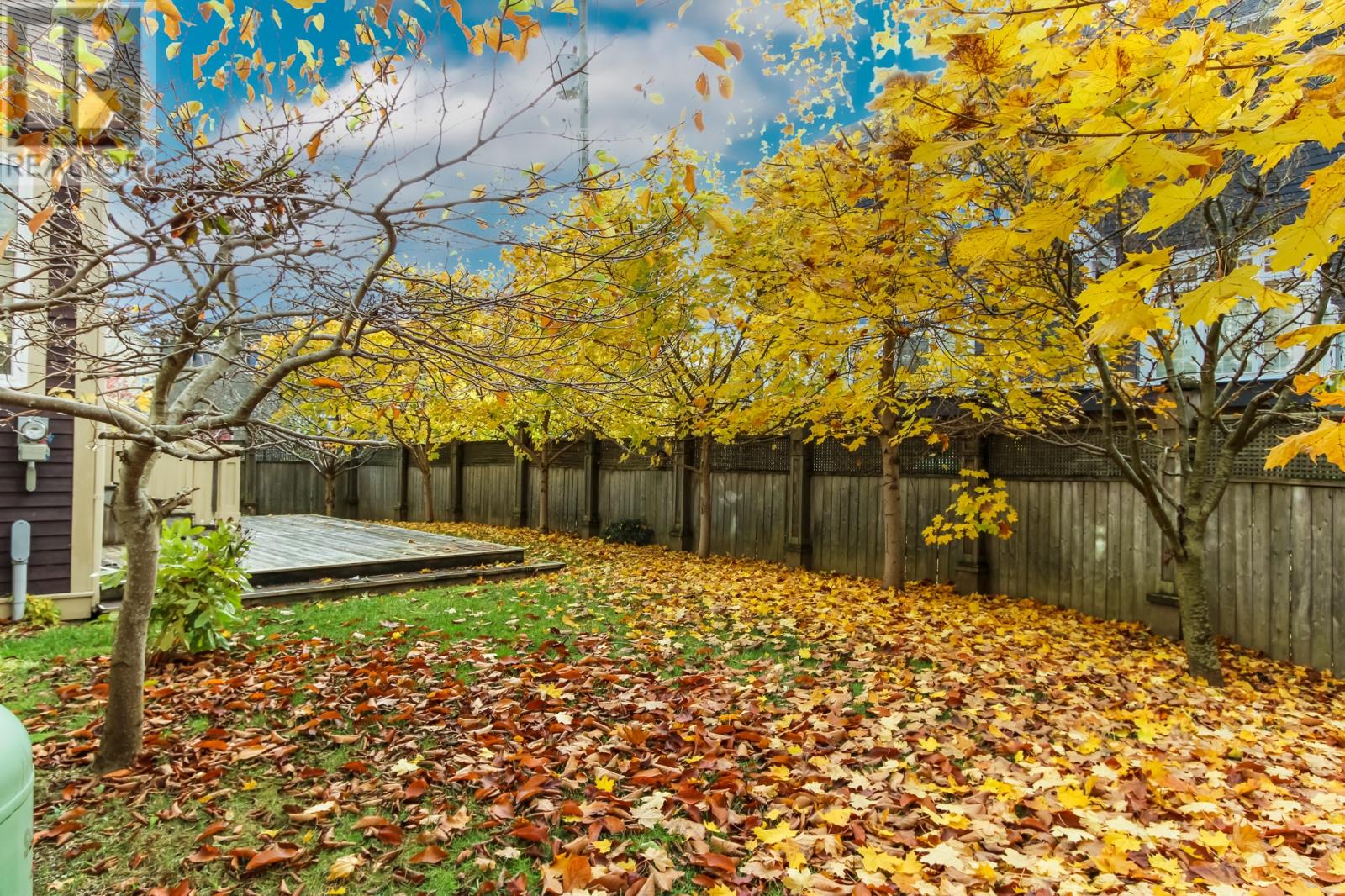 7 Judge Place, St. John's, Newfoundland & Labrador  A1A 0H8 - Photo 3 - 1294401