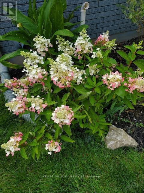 23 Stormont Drive, London South, Ontario  N5Z 3Z4 - Photo 37 - X12791144