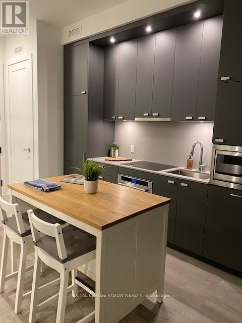 208 - 858 Dupont Street, Toronto, Ontario  M6G 0C1 - Photo 11 - W12757488