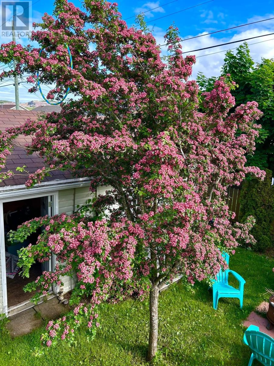 15 Lucyrose Lane, St. John's, Newfoundland & Labrador  A1A 0C5 - Photo 36 - 1294581