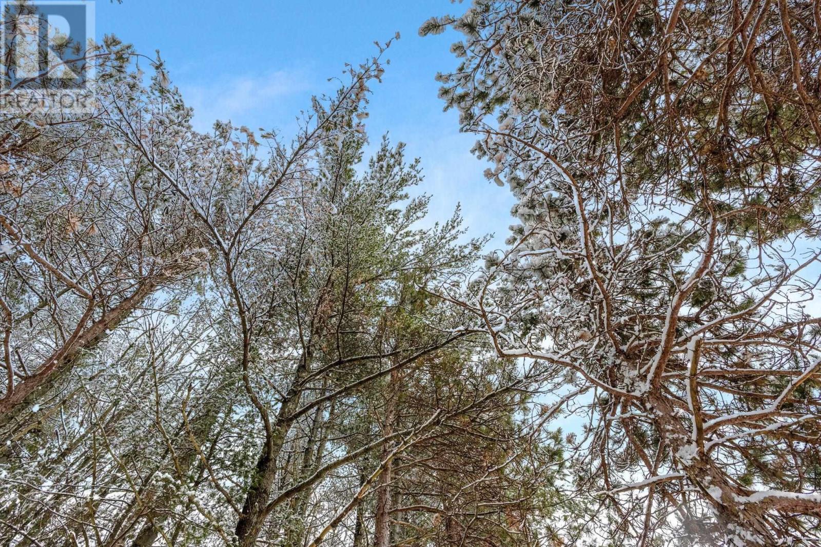 2184 Old Mill Road, South Farmington, Nova Scotia  B0P 1W0 - Photo 46 - 202602772