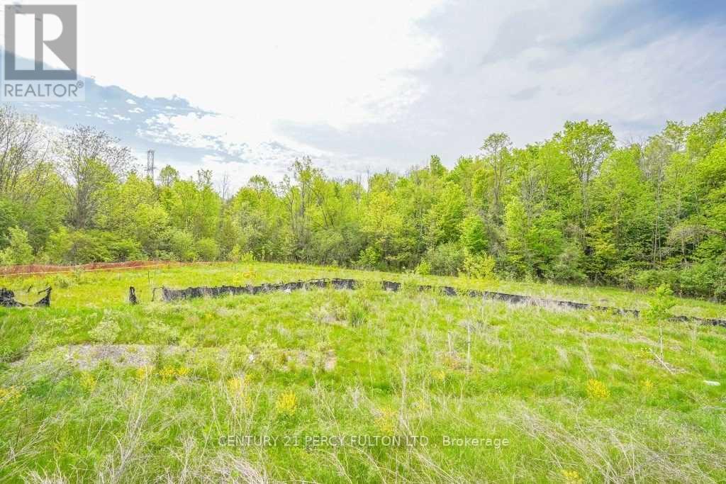 Bsmt - 1040 Foxtail Crescent, Pickering, Ontario  L1X 0E7 - Photo 22 - E12789932