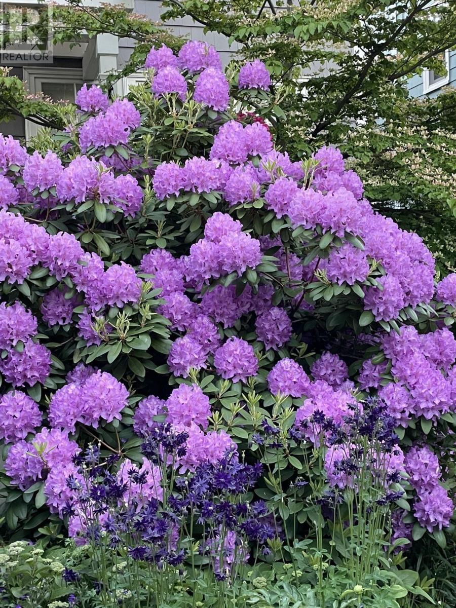 6051 South Street, Halifax, Nova Scotia  B3H 1S9 - Photo 40 - 202602780