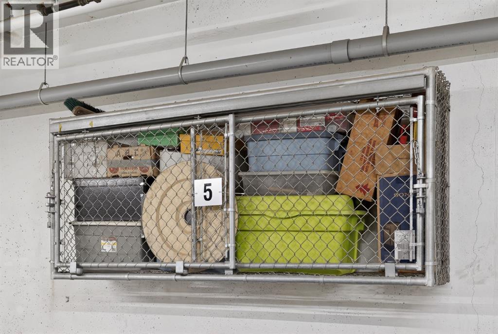 413, 55 Wolf Hollow Crescent Se, Calgary, Alberta  T2X 5K9 - Photo 42 - A2281807