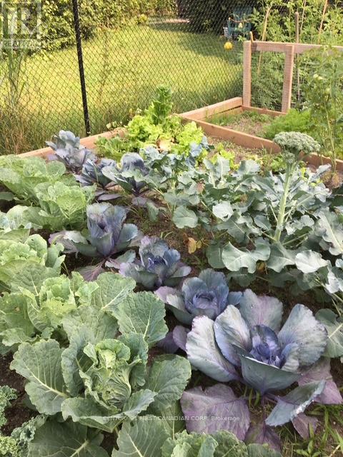 736 Thornwood Drive, London North, Ontario  N6H 5J6 - Photo 33 - X12791324