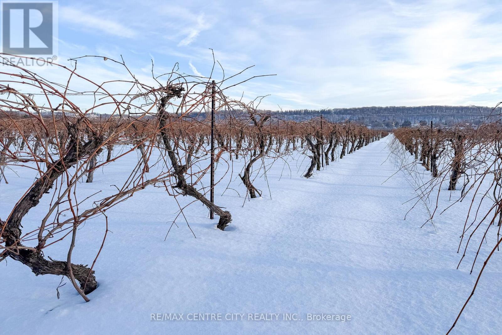 Pt Lts 2 6&7 Rp 30r3068 Part 1, Niagara-On-The-Lake, Ontario  L0S 1J0 - Photo 24 - X12776182