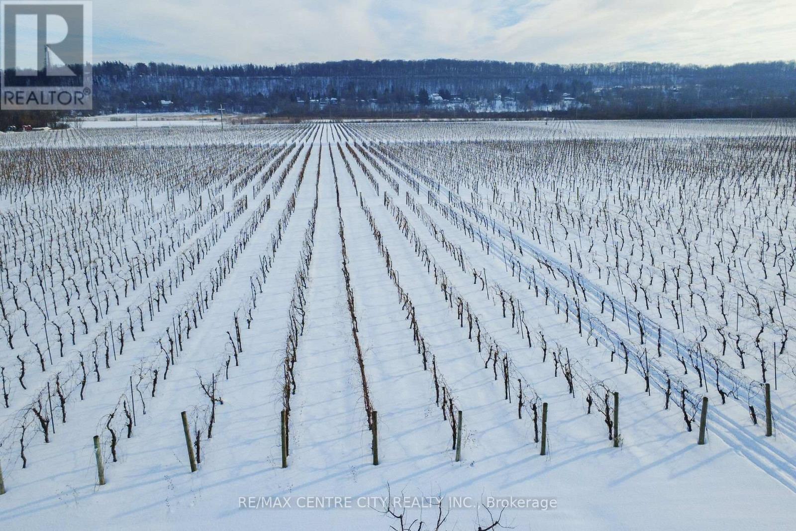 Pt Lts 2 6&7 Rp 30r3068 Part 1, Niagara-On-The-Lake, Ontario  L0S 1J0 - Photo 7 - X12776182