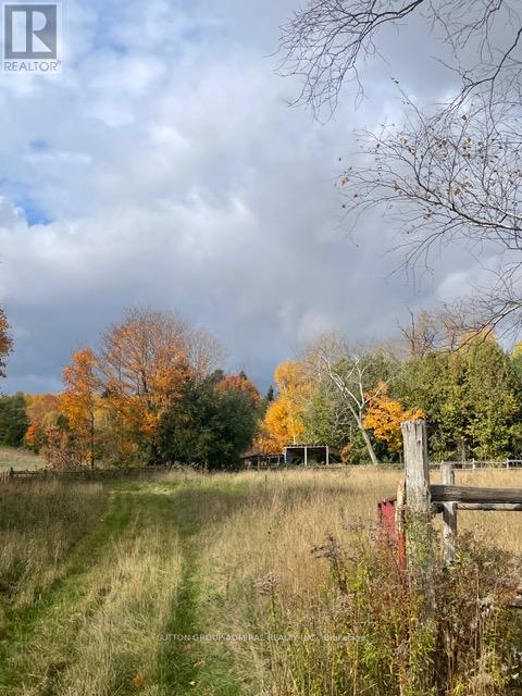 7574 White Road, Clarington, Ontario  L0A 1E0 - Photo 13 - E12791350