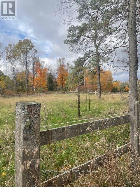 7574 White Road, Clarington, Ontario  L0A 1E0 - Photo 17 - E12791350