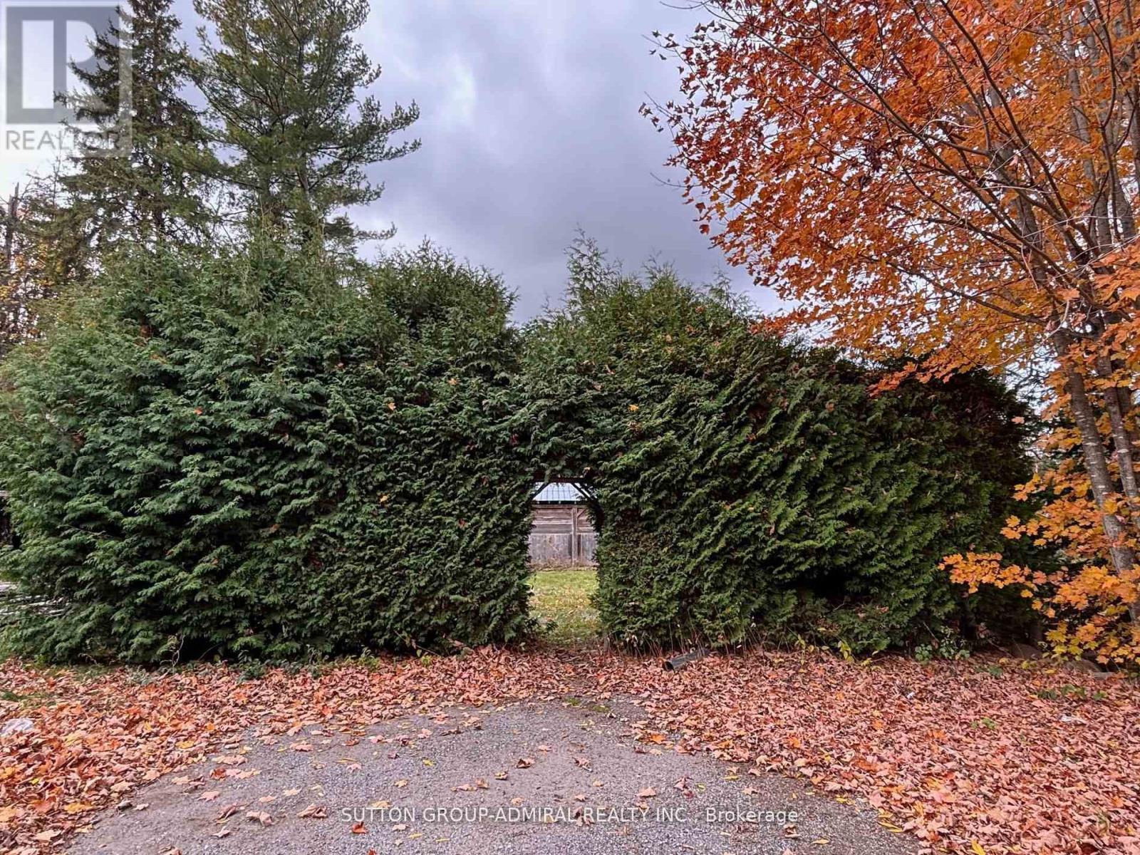 7574 White Road, Clarington, Ontario  L0A 1E0 - Photo 4 - E12791350