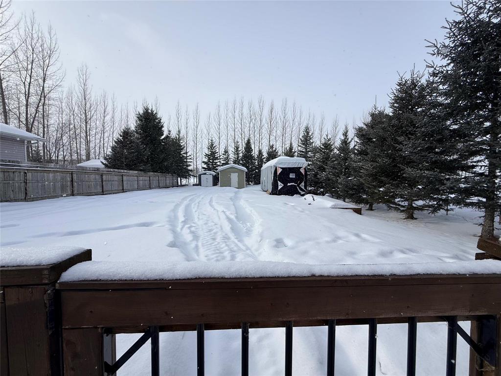239 Main Street, Minitonas, Manitoba  R0L 1G0 - Photo 4 - 202602556