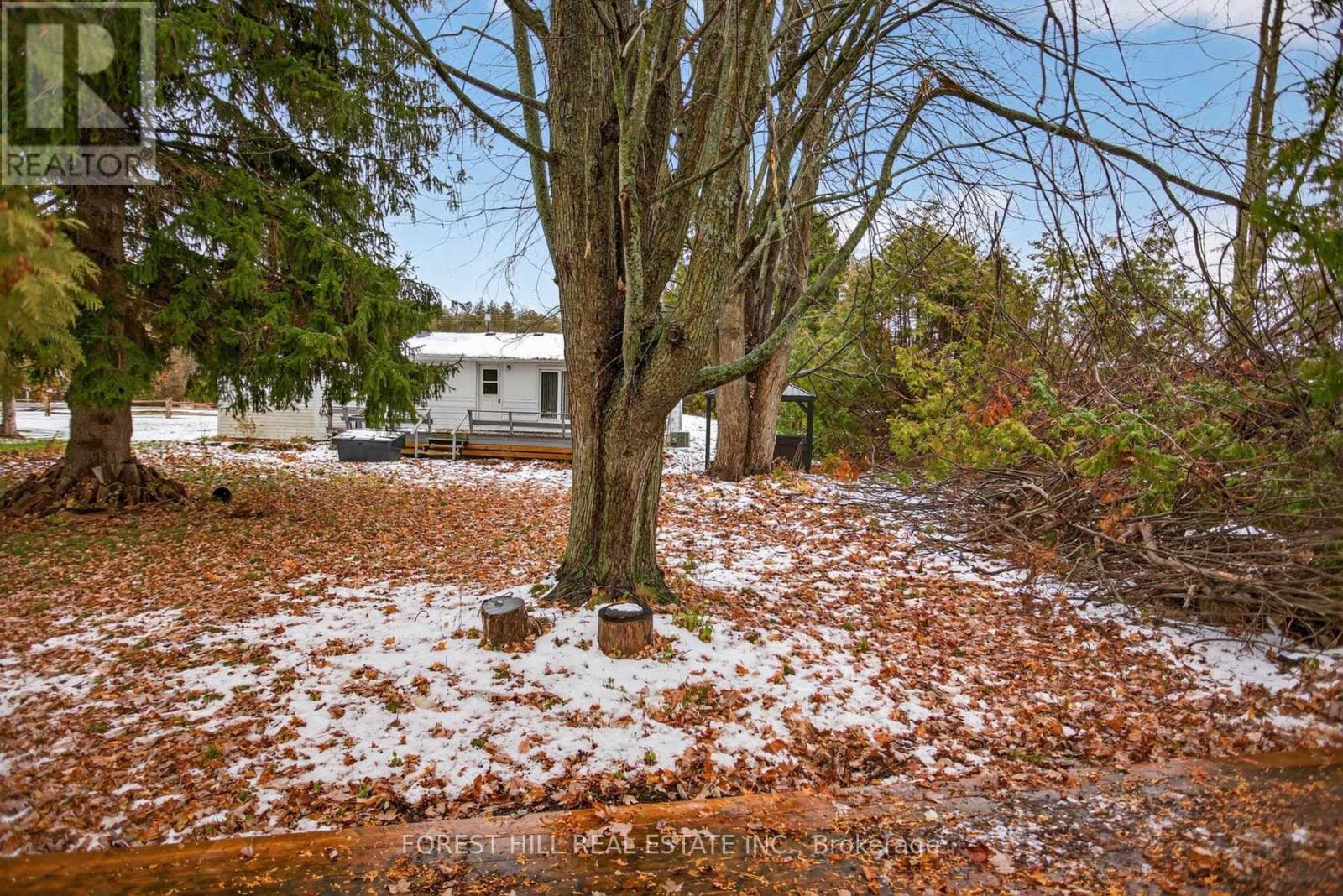 69 Blythe Shore Road, Kawartha Lakes (Fenelon Falls), Ontario  K0M 1N0 - Photo 29 - X12785130