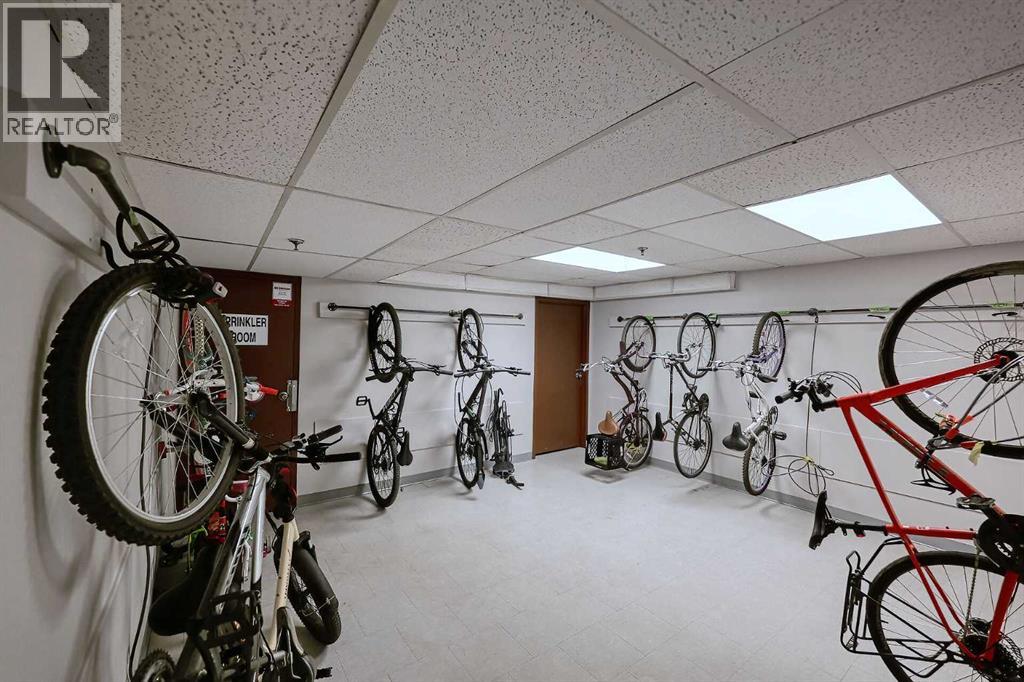 503, 1234 14 Avenue Sw, Calgary, Alberta  T3C 0V9 - Photo 31 - A2281812