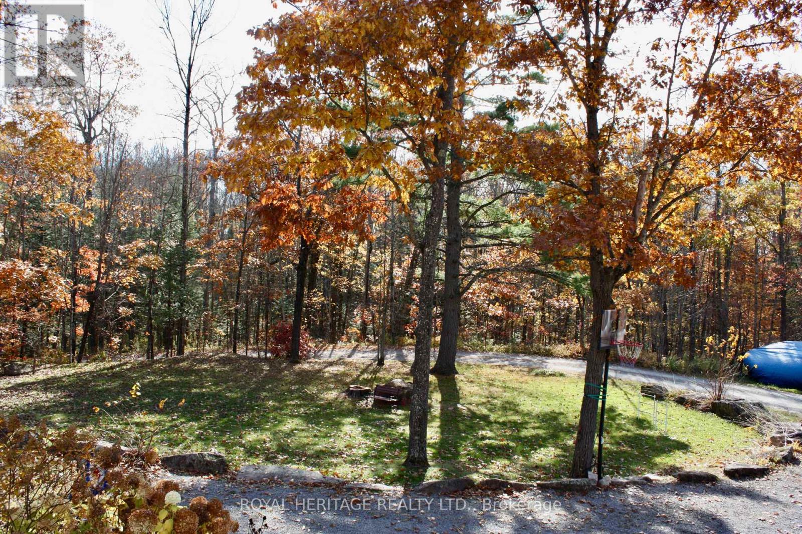 2331 Lakeside Road, Douro-Dummer, Ontario  K0L 2H0 - Photo 37 - X12791706