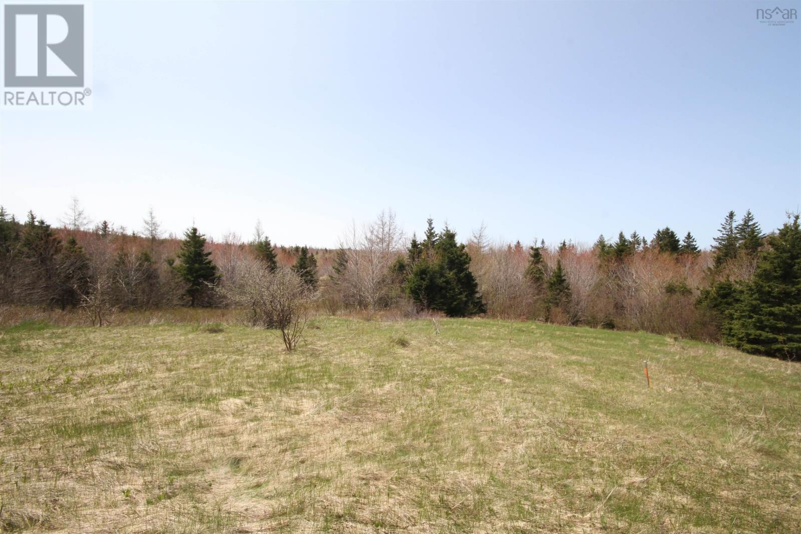 Lot 1 River Denys Mountain Road, Rear Judique, Nova Scotia  B0E 1P0 - Photo 6 - 202602790