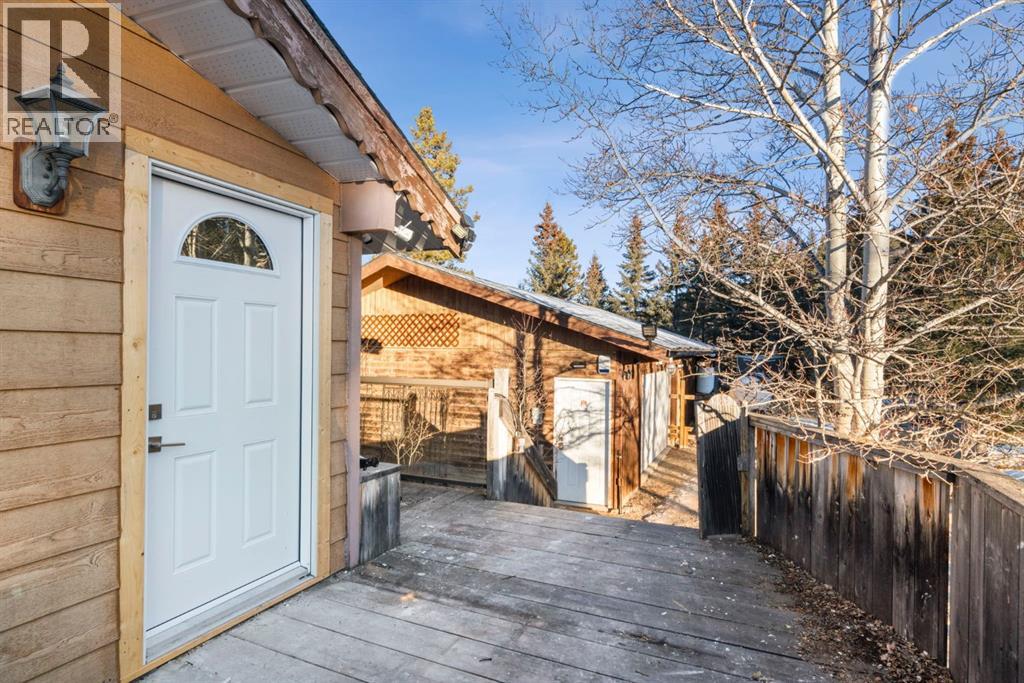 17 Gibson Road, Benchlands, Alberta  T0L 0N0 - Photo 37 - A2278850