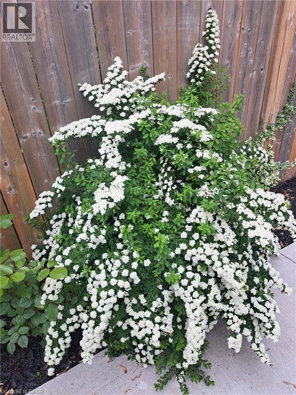 362 Lakeside Road, Fort Erie, Ontario  L2A 4X4 - Photo 24 - 40805397