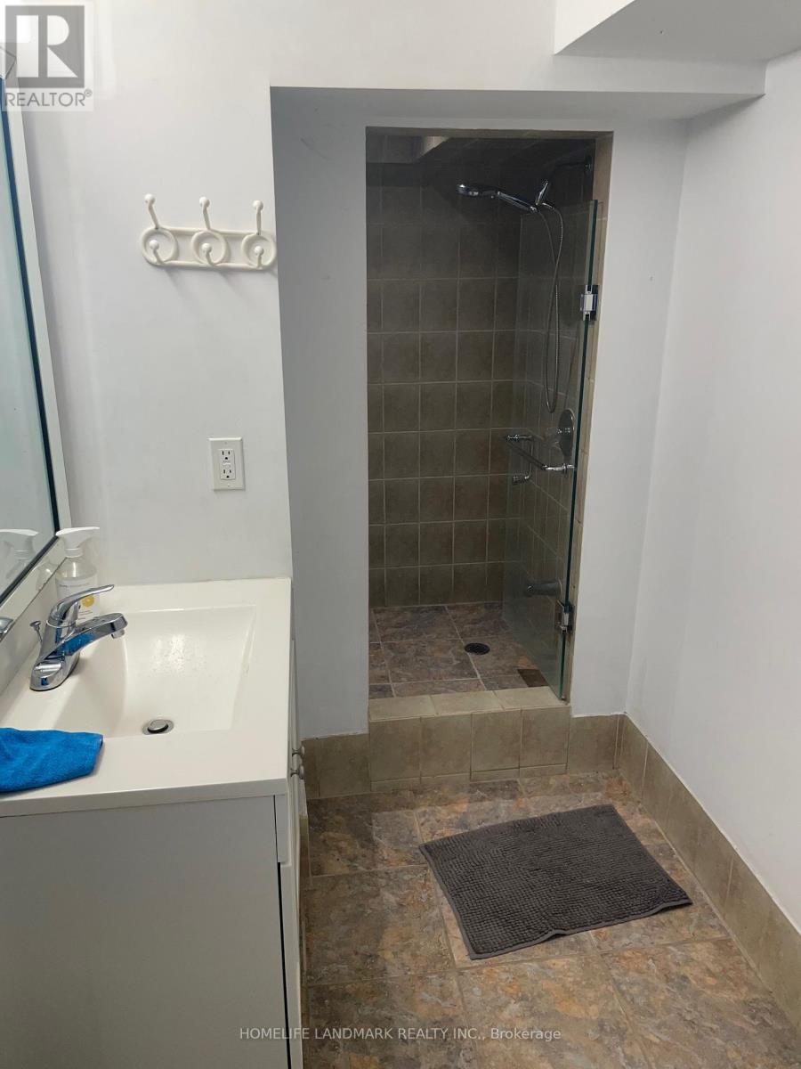 Bsmt - 385 Marybay Crescent, Richmond Hill, Ontario  L4C 2X5 - Photo 9 - N12791784