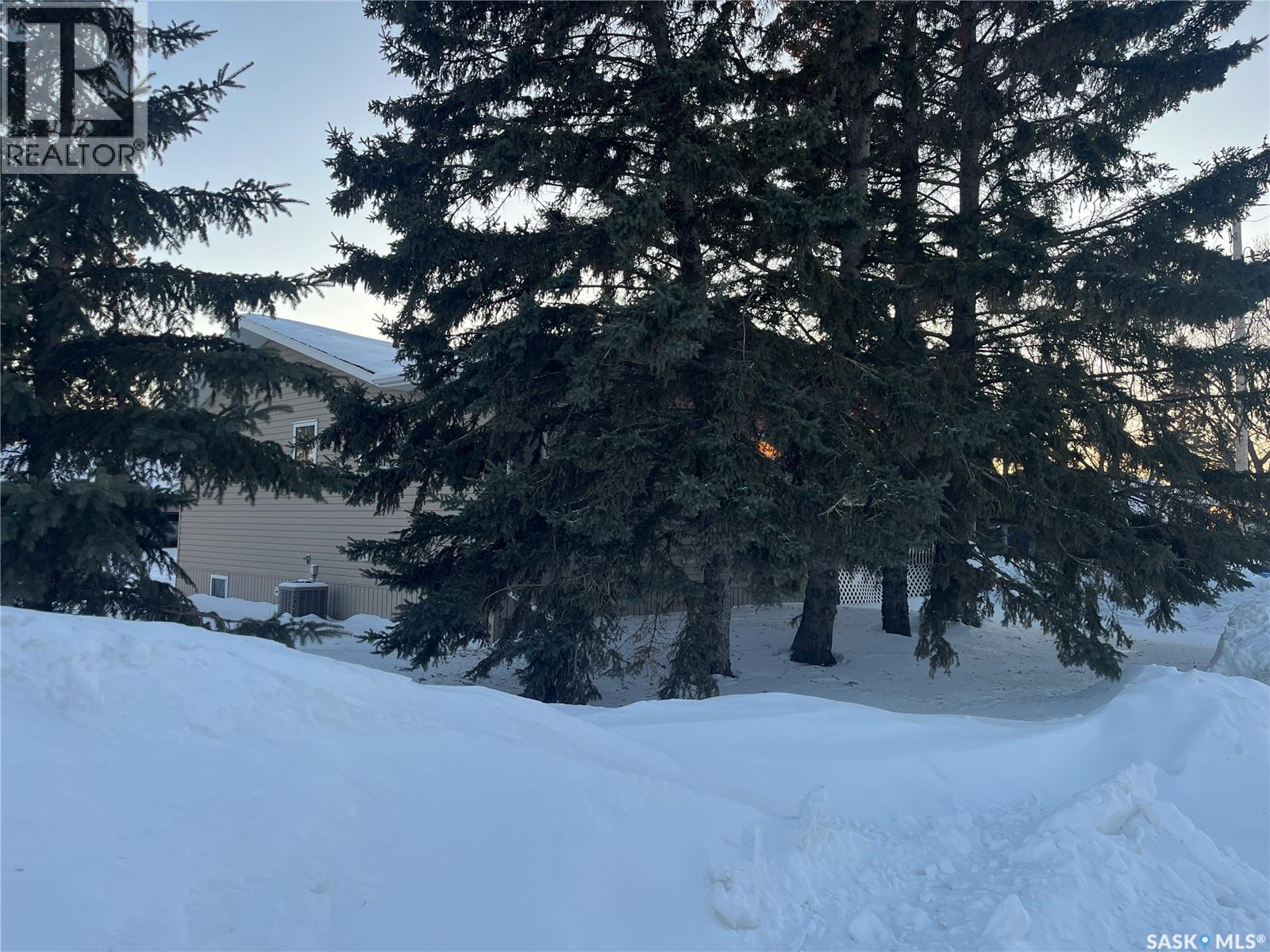 100 1st Avenue Sw, Wadena, Saskatchewan  S0A 4J0 - Photo 37 - SK027524