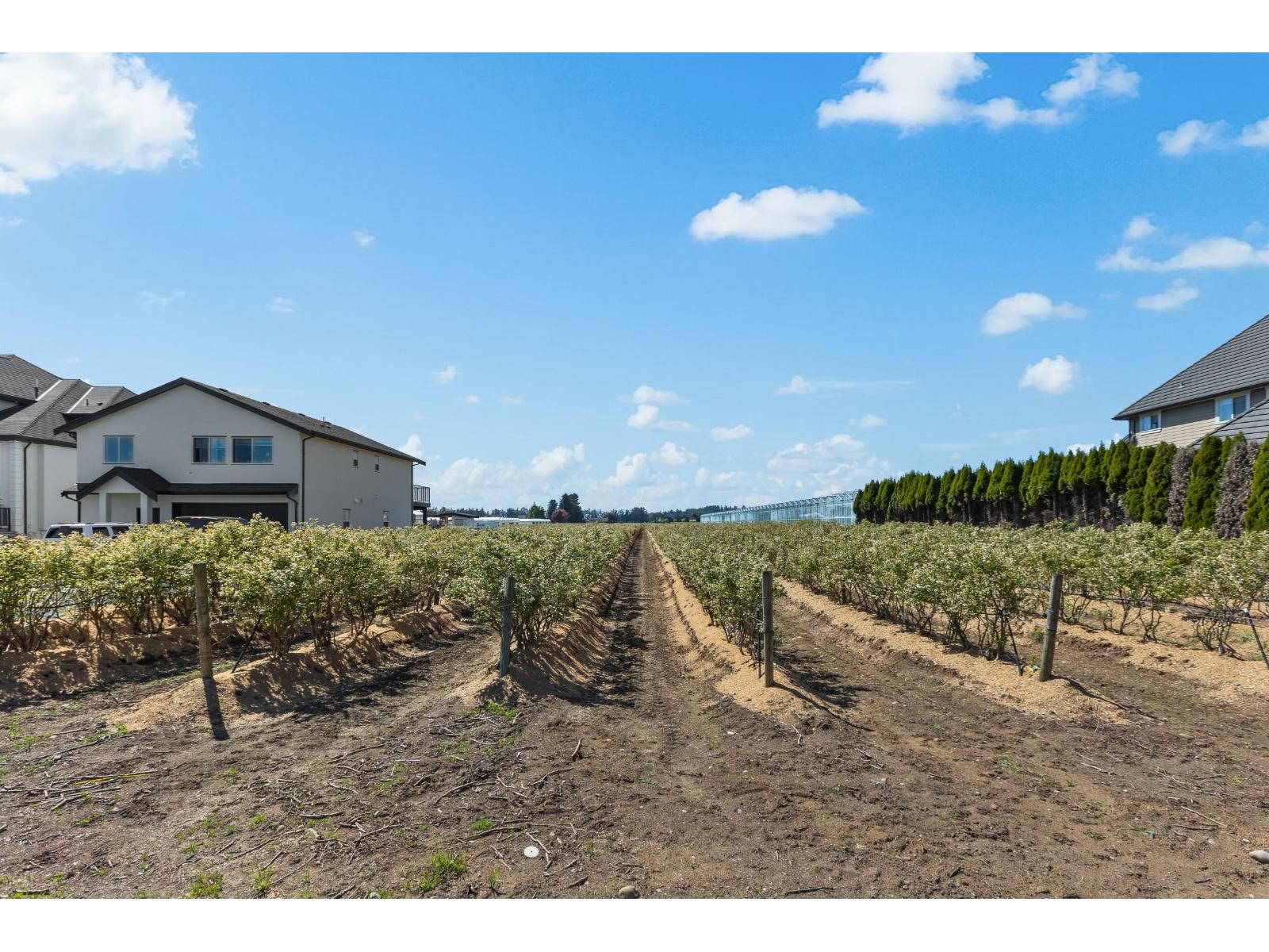 171 Defehr Road, Abbotsford, British Columbia  V4X 2J7 - Photo 39 - R3067930