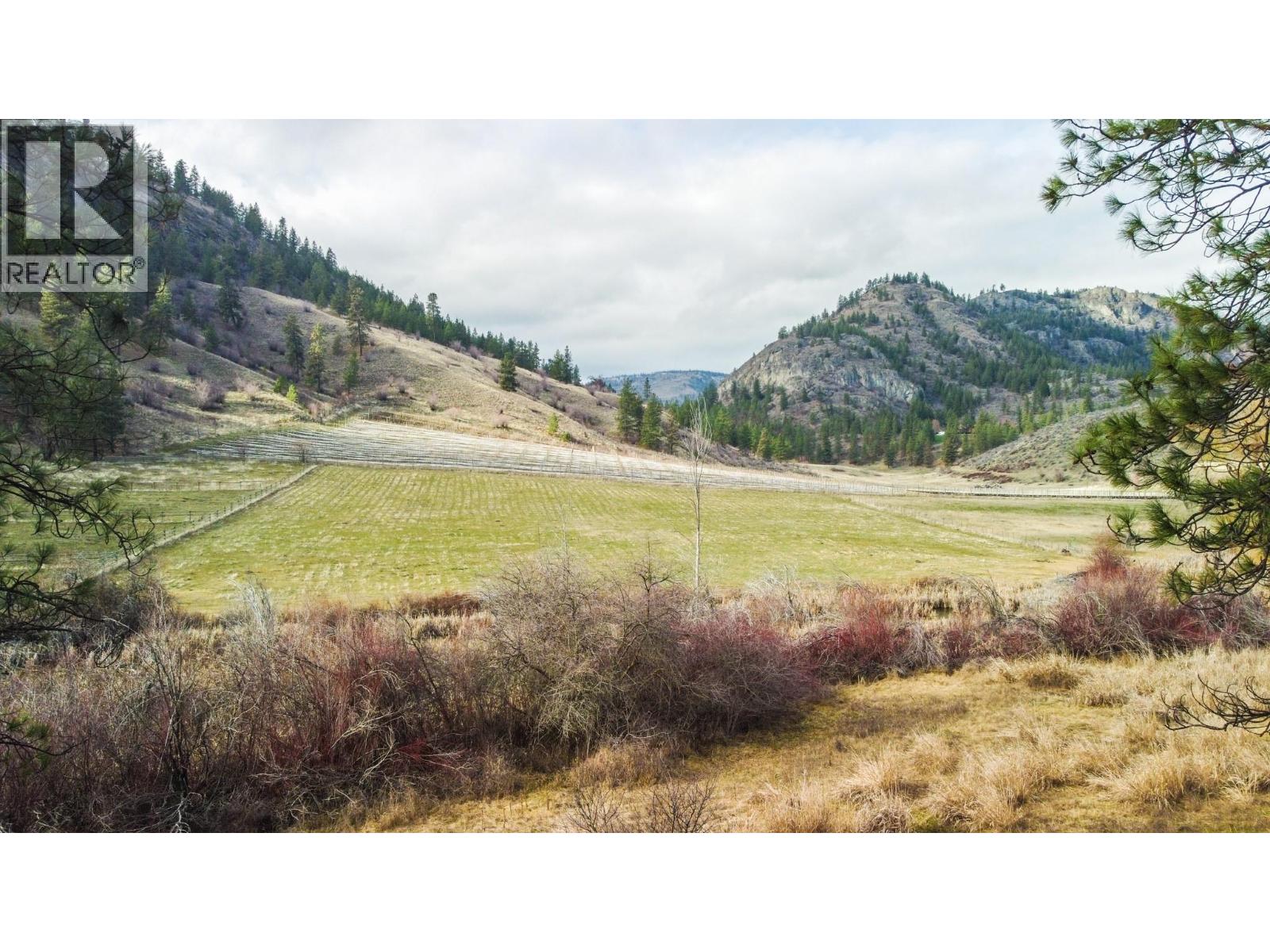 698 Green Lake Road, Oliver, British Columbia  V0H 1T5 - Photo 3 - 10375341