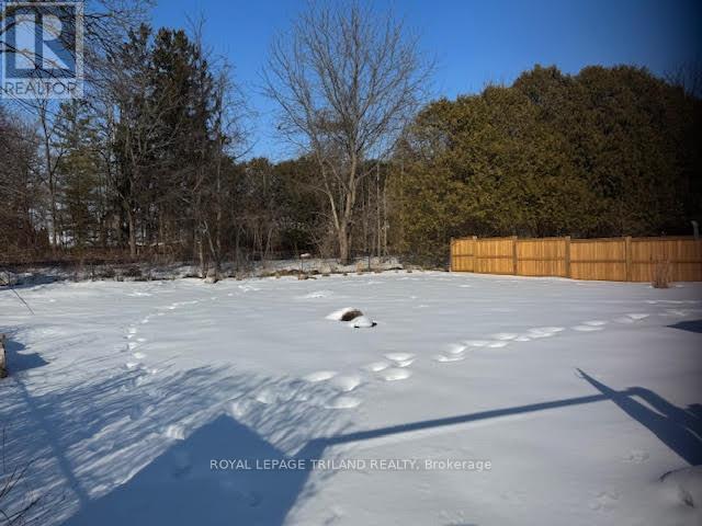 154 Ross Avenue, Thames Centre, Ontario  N0L 1G1 - Photo 18 - X12789404