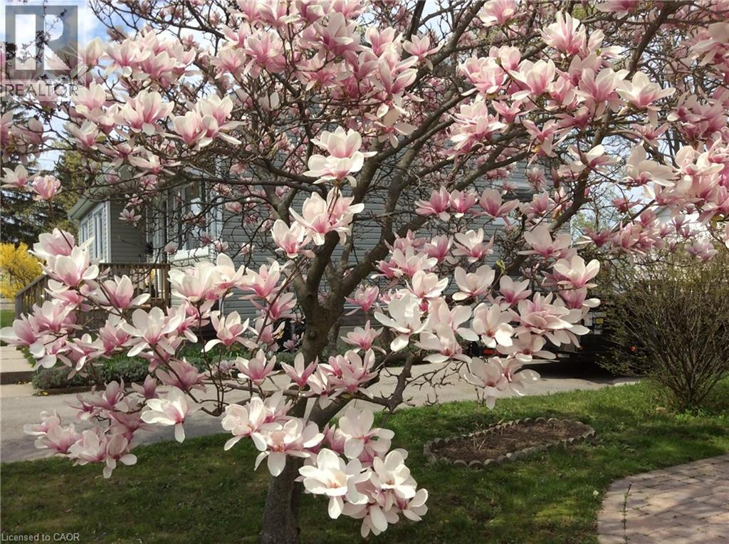 220 Regent Avenue, Port Dover, Ontario  N0A 1N0 - Photo 42 - 40804882