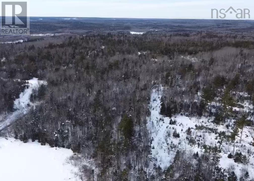 Lot Stanburne Road, Stanburne, Nova Scotia  B0R 1E0 - Photo 5 - 202602817