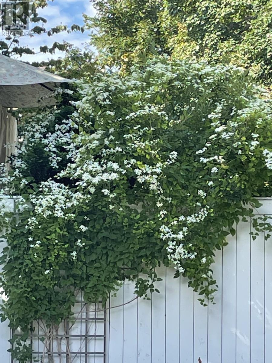 6051 South Street, Halifax, Nova Scotia  B3H 1S9 - Photo 38 - 202602780