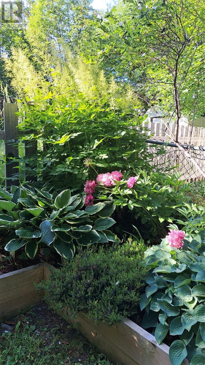 73 Calver Avenue, St. John's, Newfoundland & Labrador  A1C 2X6 - Photo 29 - 1294617