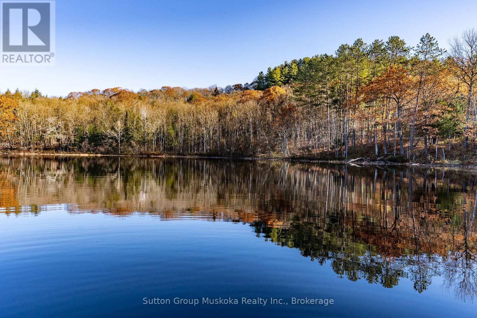 236 Hoodstown Road, Huntsville, Ontario  P1H 2J2 - Photo 12 - X12792446