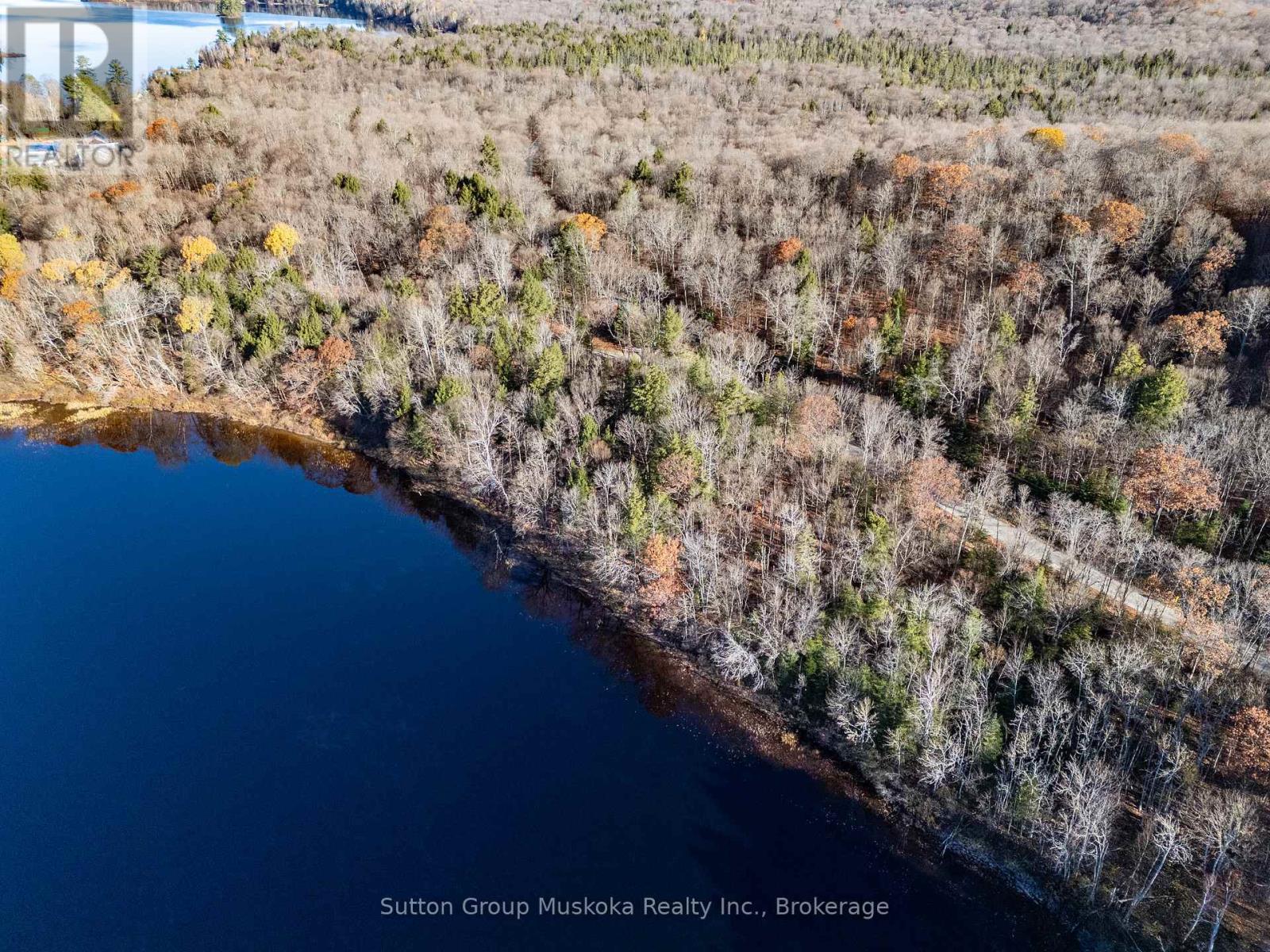 236 Hoodstown Road, Huntsville, Ontario  P1H 2J2 - Photo 6 - X12792446