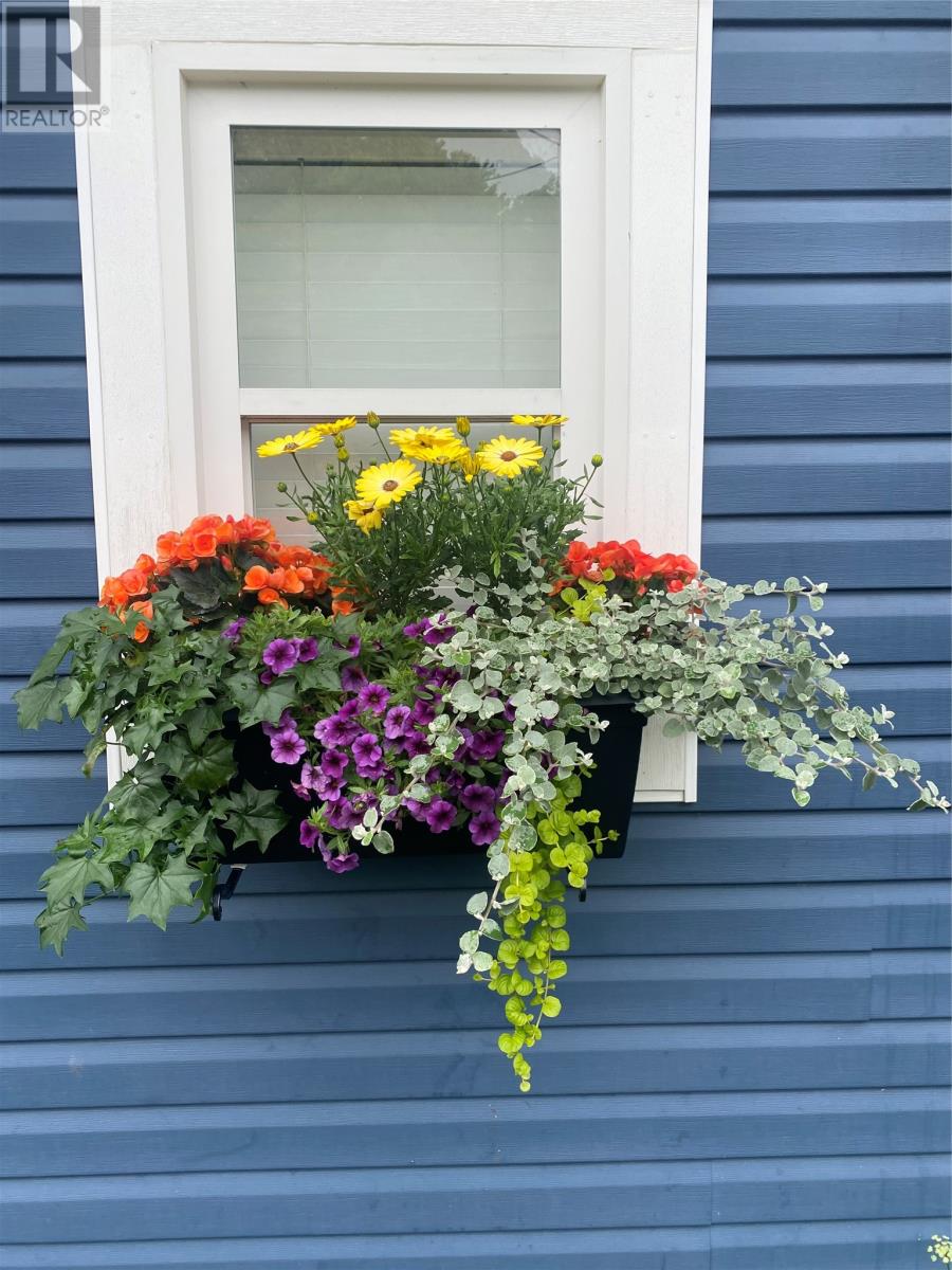 32 Longs Hill, Carbonear, Newfoundland & Labrador  A1Y 1A9 - Photo 12 - 1294626