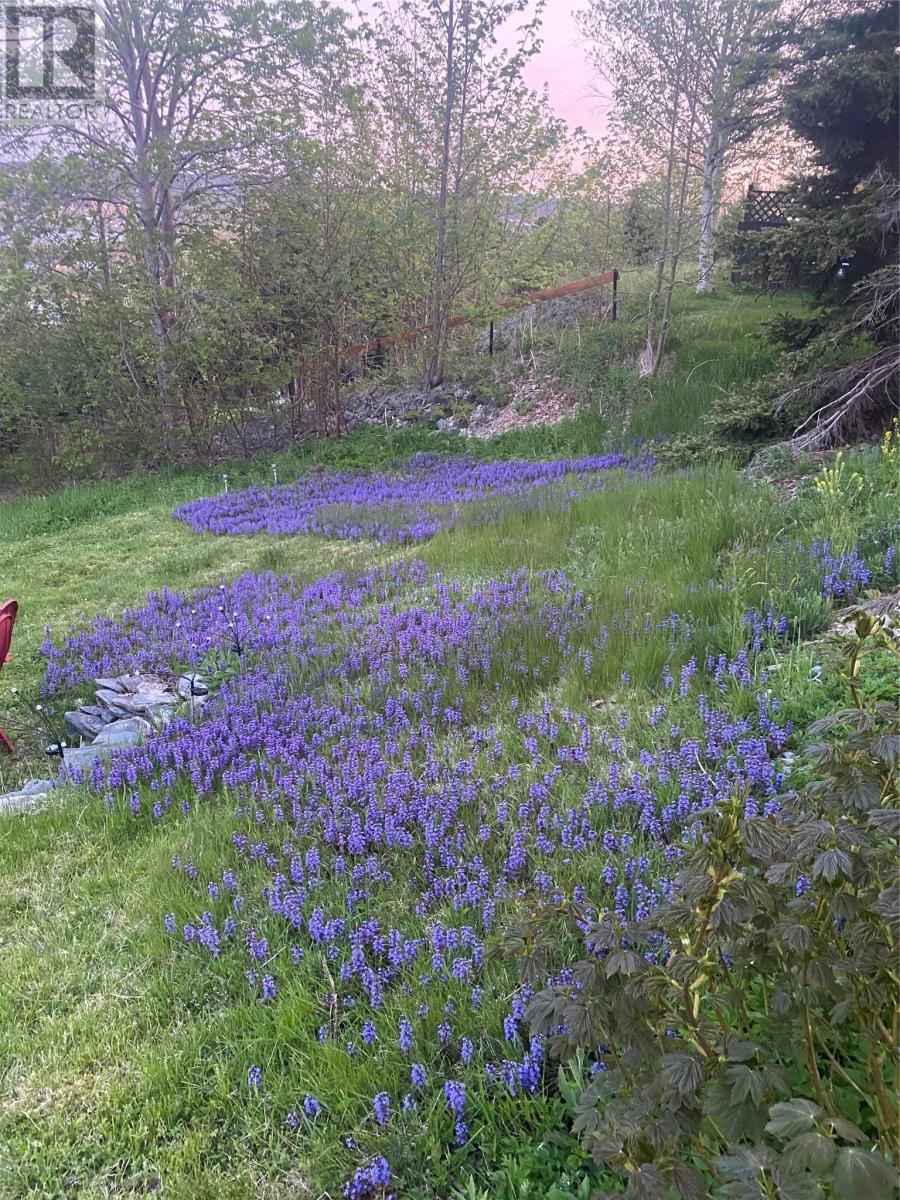 32 Longs Hill, Carbonear, Newfoundland & Labrador  A1Y 1A9 - Photo 14 - 1294626