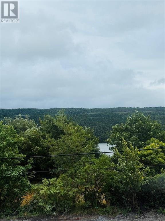 1253 Main Road, Dunville, Newfoundland & Labrador  A0B 1S0 - Photo 2 - 1294214