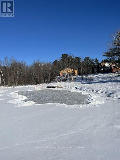 2504 Fairgrounds Road, Ramara, Ontario  L0K 2B0 - Photo 38 - S12792562